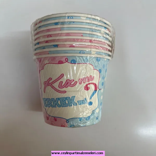 KıZ Mı ? Erkek mi ? Temalı Karton Bardak